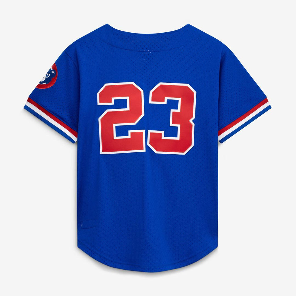 Chicago Cubs Mitchell & Ness Ryne Sandberg Cooperstown Collection 1996 Mesh Batting Practice Button-Up Baseball Jersey - Royal