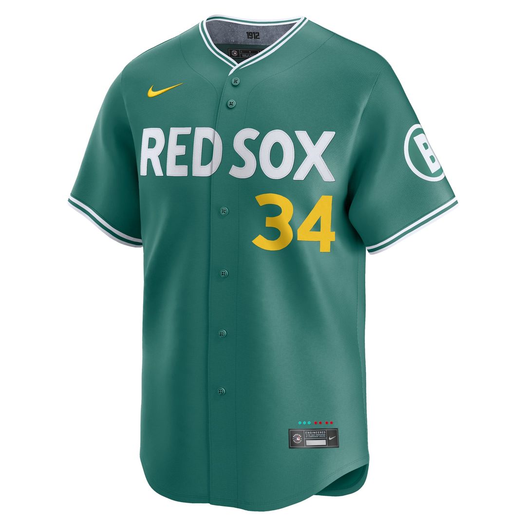 Boston Red Sox Nike David Ortiz 2025 City Connect Limited Retired Baseball Jersey - Green