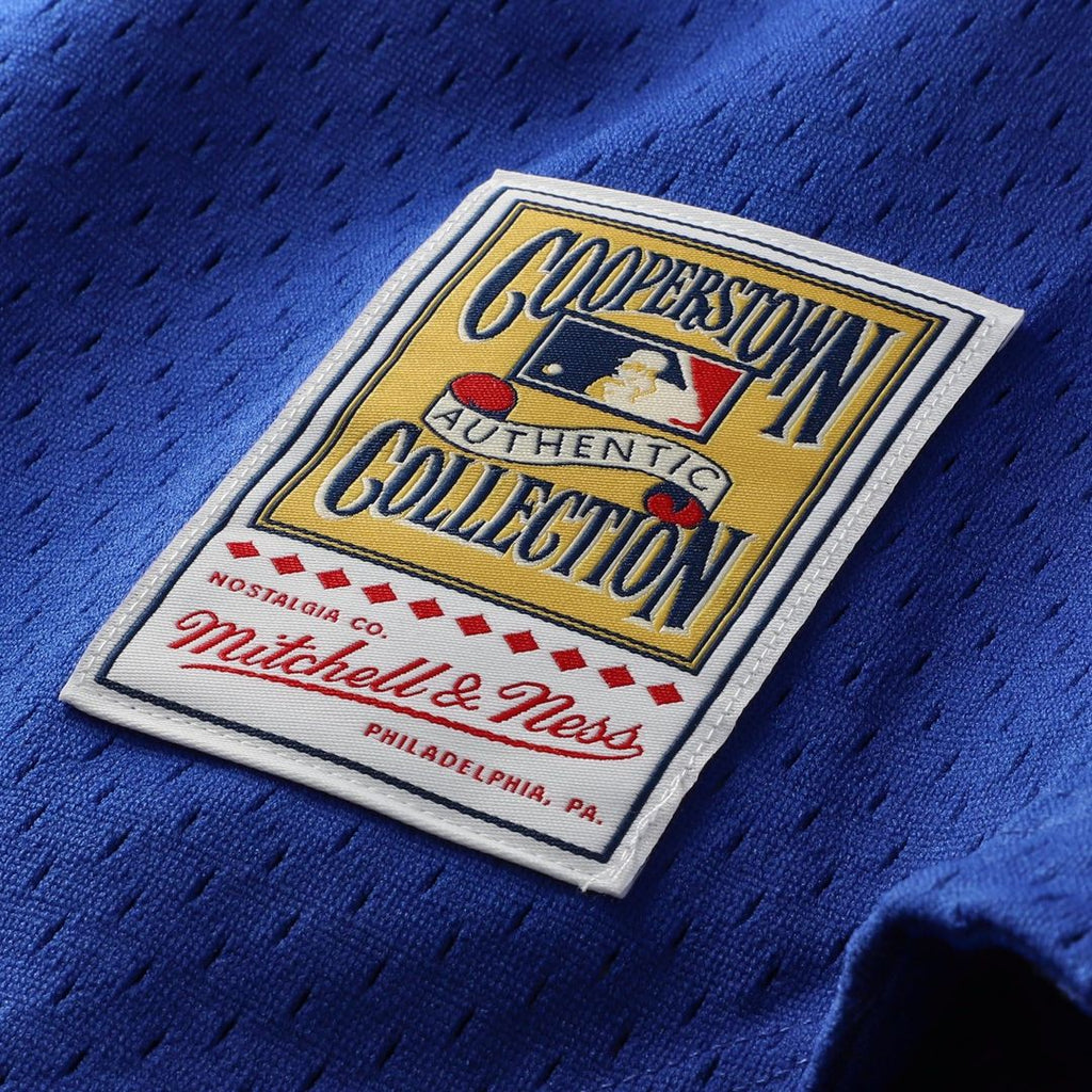 Chicago Cubs Mitchell & Ness Ryne Sandberg Cooperstown Collection 1997 Mesh Batting Practice Button-Up Baseball Jersey - Royal