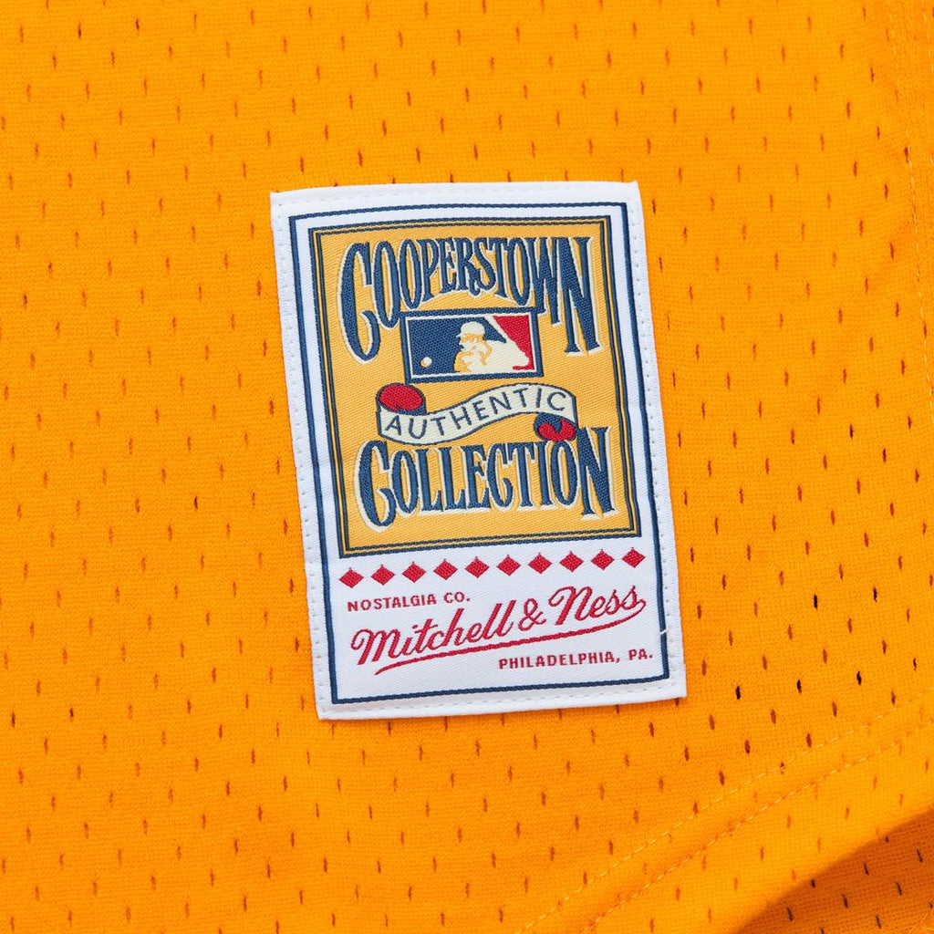 San Diego Padres Mitchell & Ness Tony Gwynn Big & Tall Cooperstown Mesh Batting Practice Baseball Jersey - Gold