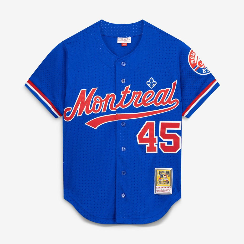 Montreal Expos Mitchell & Ness Pedro Martinez Cooperstown Collection Mesh Batting Practice Button-Up Baseball Jersey - Blue