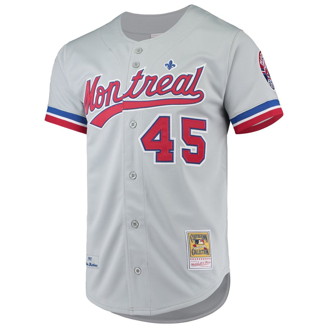 Montreal Expos Mitchell & Ness Pedro Martinez Cooperstown Collection Authentic Baseball Jersey - Gray