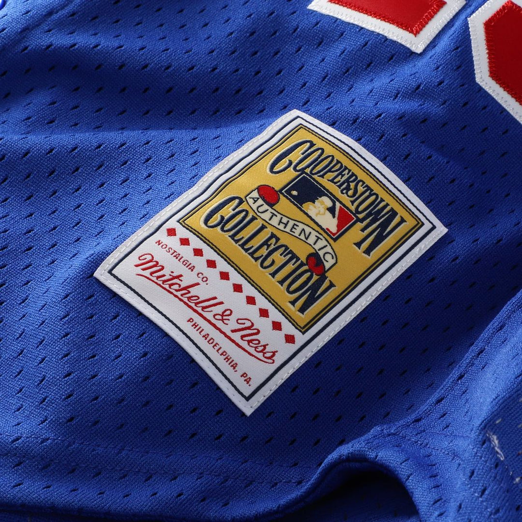Montreal Expos Mitchell & Ness Pedro Martinez Cooperstown Collection Mesh Batting Practice Button-Up Baseball Jersey - Blue