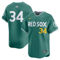 Boston Red Sox Nike David Ortiz 2025 City Connect Limited Retired Baseball Jersey - Green