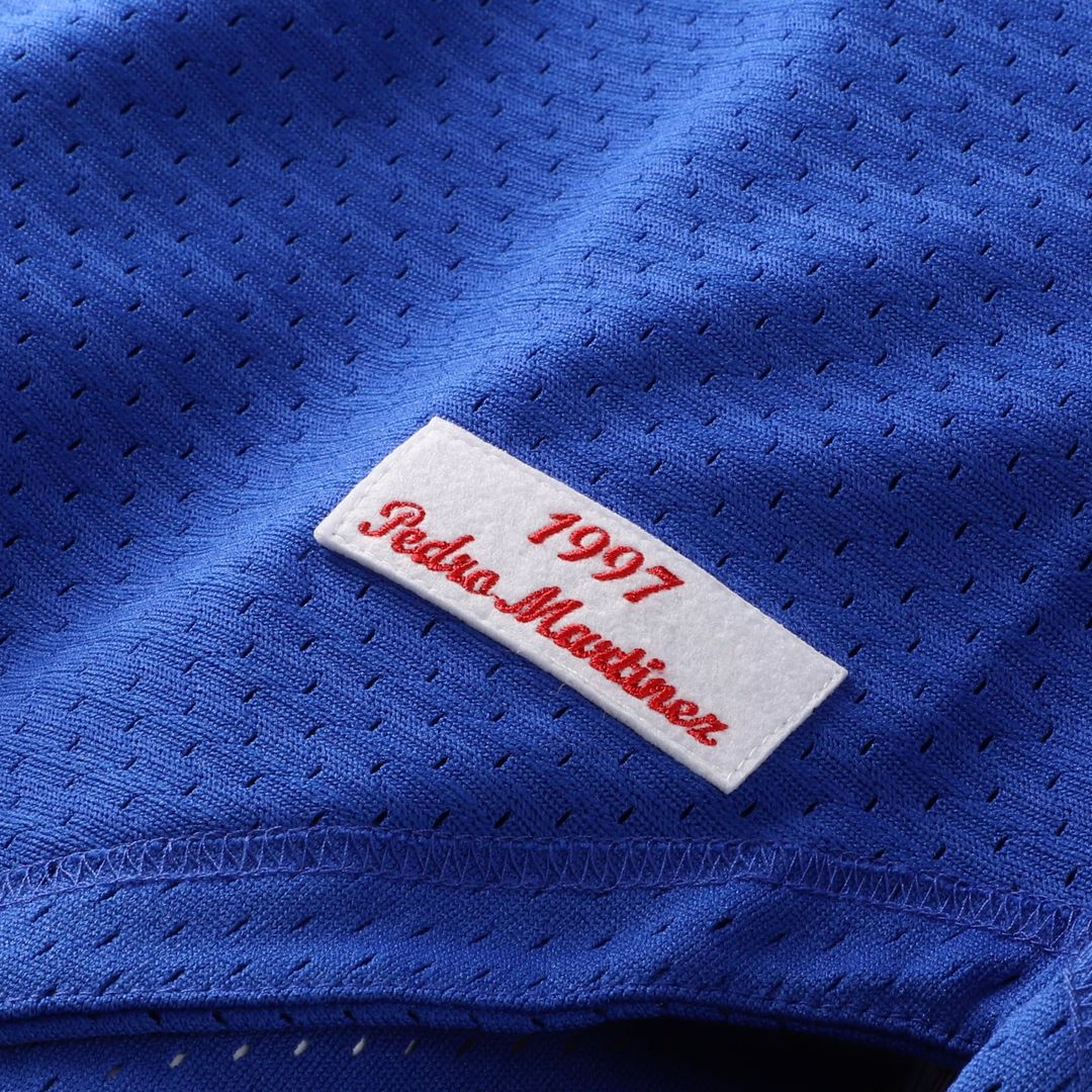 Montreal Expos Mitchell & Ness Pedro Martinez Cooperstown Collection Mesh Batting Practice Button-Up Baseball Jersey - Blue