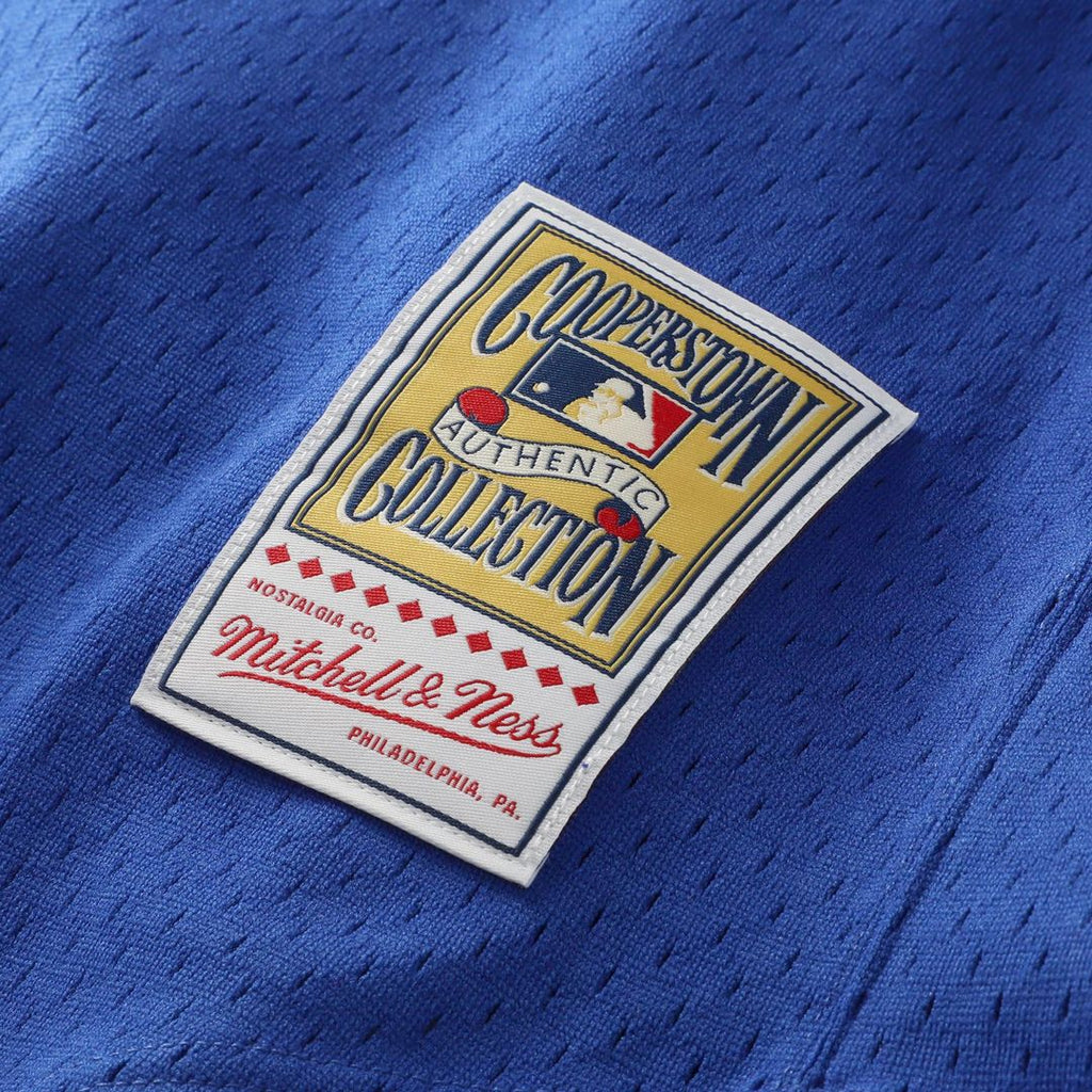 Texas Rangers Mitchell & Ness Nolan Ryan Big & Tall Cooperstown Mesh Batting Practice Baseball Jersey - Royal