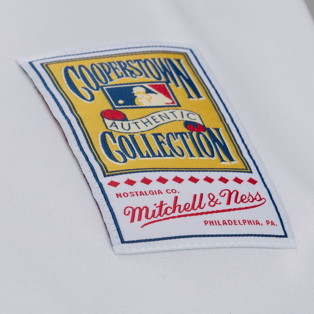 Atlanta Braves Mitchell & Ness Andruw Jones 2005 Authentic Baseball Jersey - White