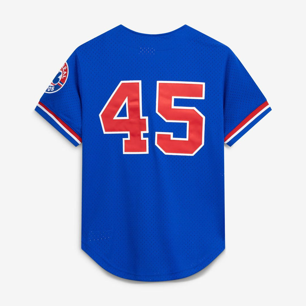 Montreal Expos Mitchell & Ness Pedro Martinez Cooperstown Collection Mesh Batting Practice Button-Up Baseball Jersey - Blue