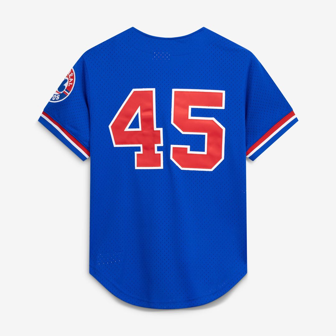 Montreal Expos Mitchell & Ness Pedro Martinez Cooperstown Collection Mesh Batting Practice Button-Up Baseball Jersey - Blue