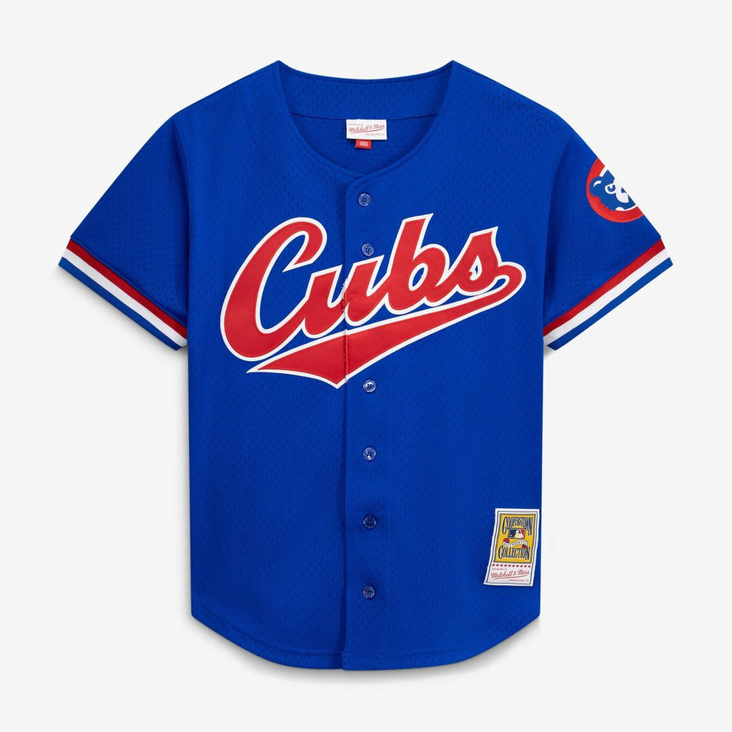 Chicago Cubs Mitchell & Ness Ryne Sandberg Cooperstown Collection 1996 Mesh Batting Practice Button-Up Baseball Jersey - Royal