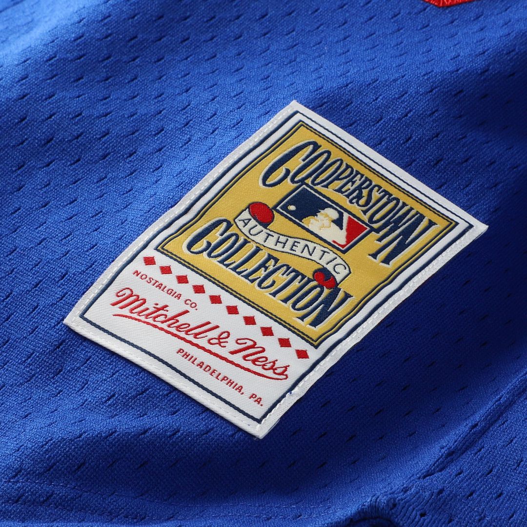 Los Angeles Dodgers Mitchell & Ness Hideo Nomo Big & Tall Cooperstown Collection Mesh Batting Practice Baseball Jersey - Royal